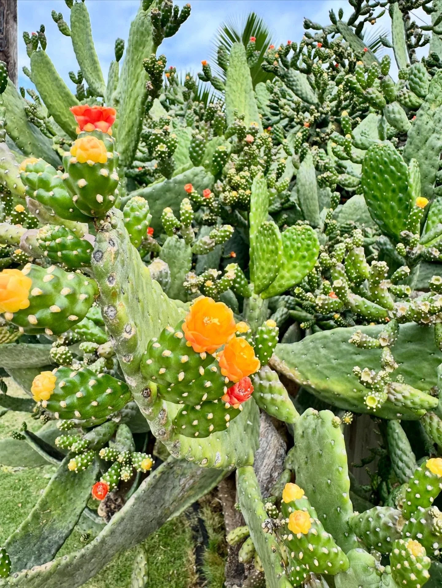 .
Back in the olden days, I was assisting a teacher that I started badmouthing. I had taken several trainings they hadn&rsquo;t, saw some blind spots, and had some valid points to make about what would serve the students. A mature colleague pulled me