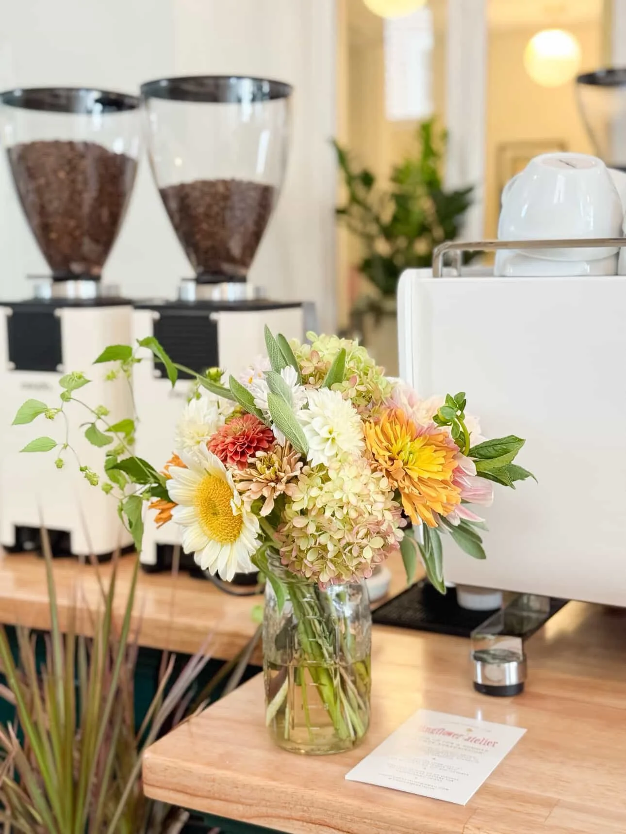 6B4D0FD4-553C-418B-A827-9B0E03726D07 2.JPG