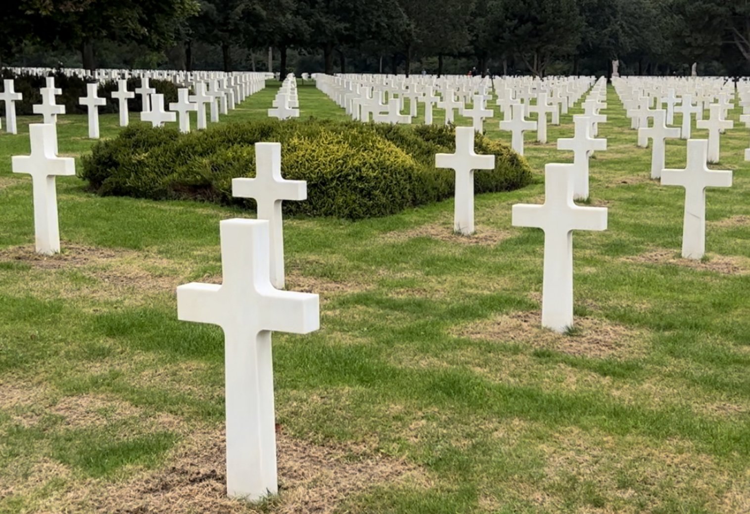 Veterans Day – Lest We Forget