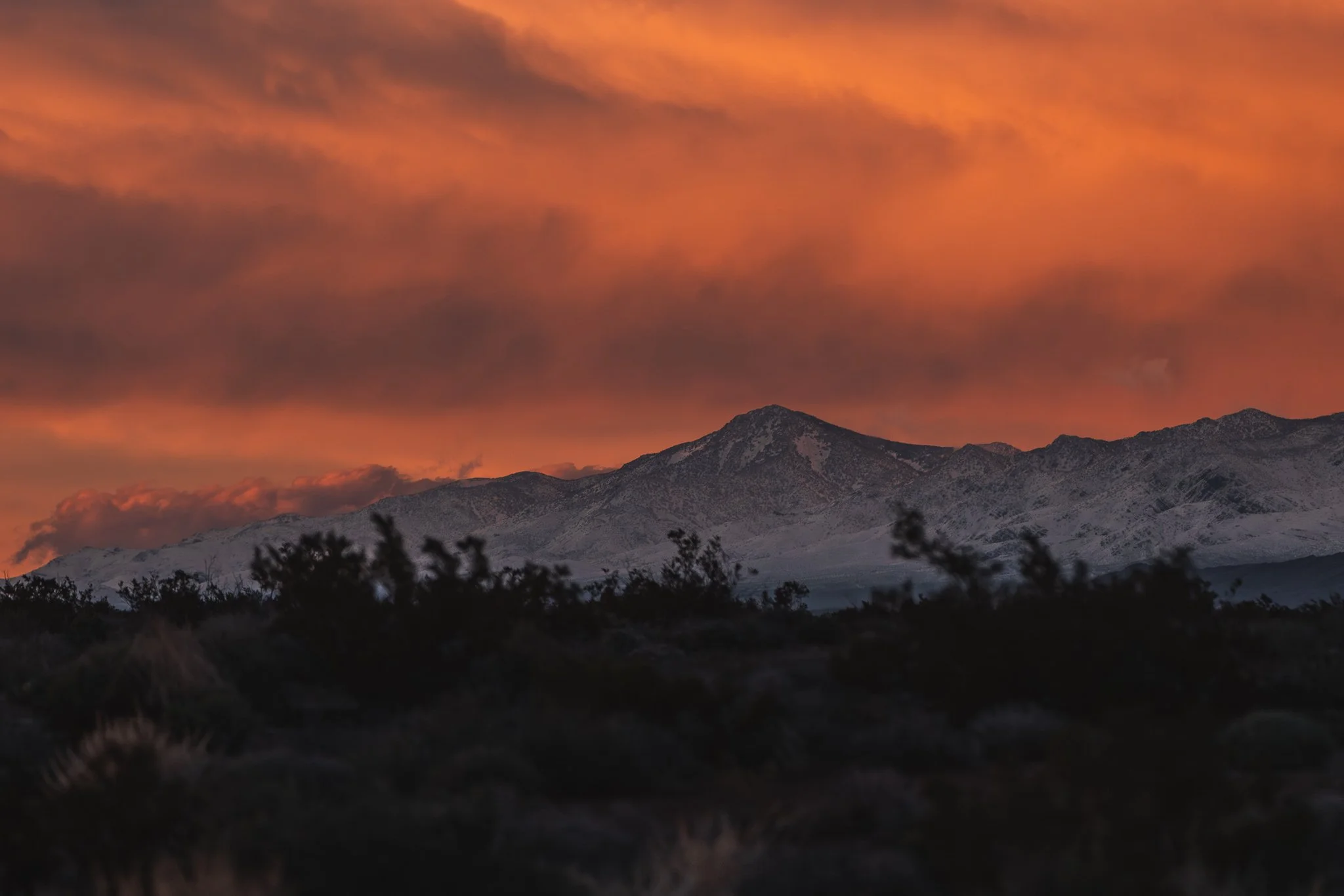 Nevada desert landscape — The Speed Project Los Angeles to Las Vegas running photographer Chicago