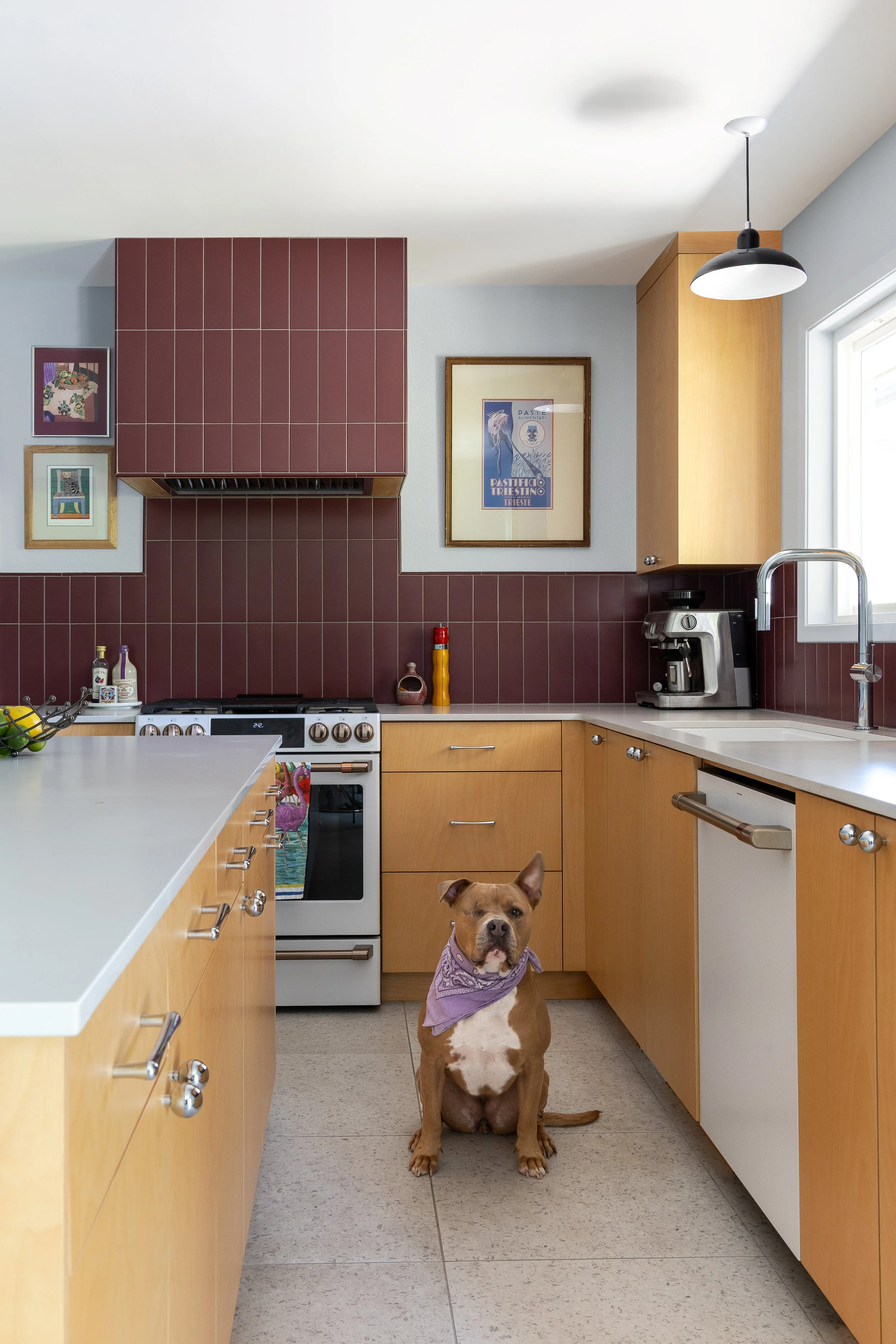 A refreshing color palette of icy blues and cool-toned reds that showcase our client’s personality.