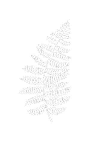 Fox & Fern Interiors Fox & Fern Interiors Portland Designer
