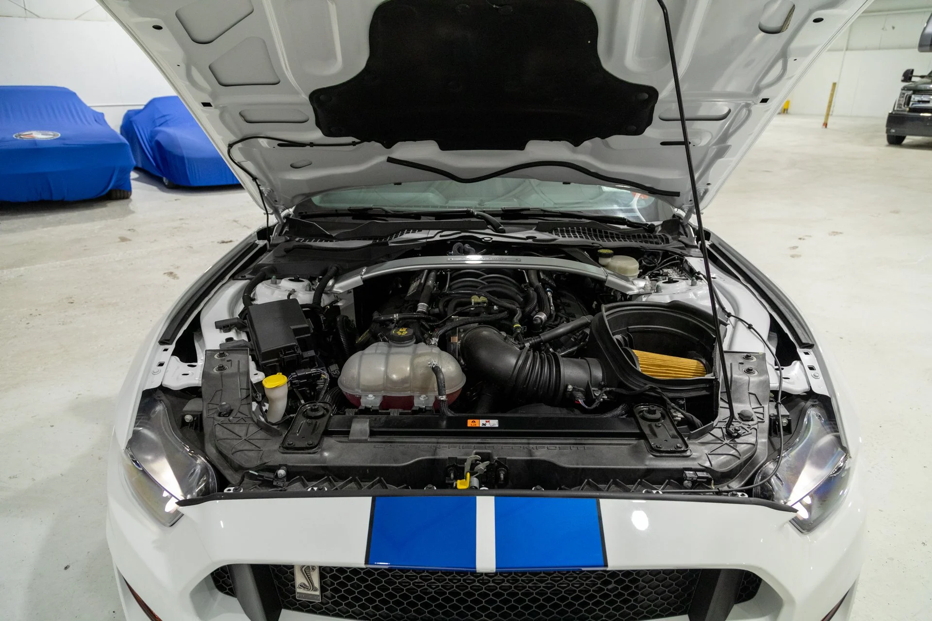 26_MWNY_2017-Ford-GT350-7386.jpg