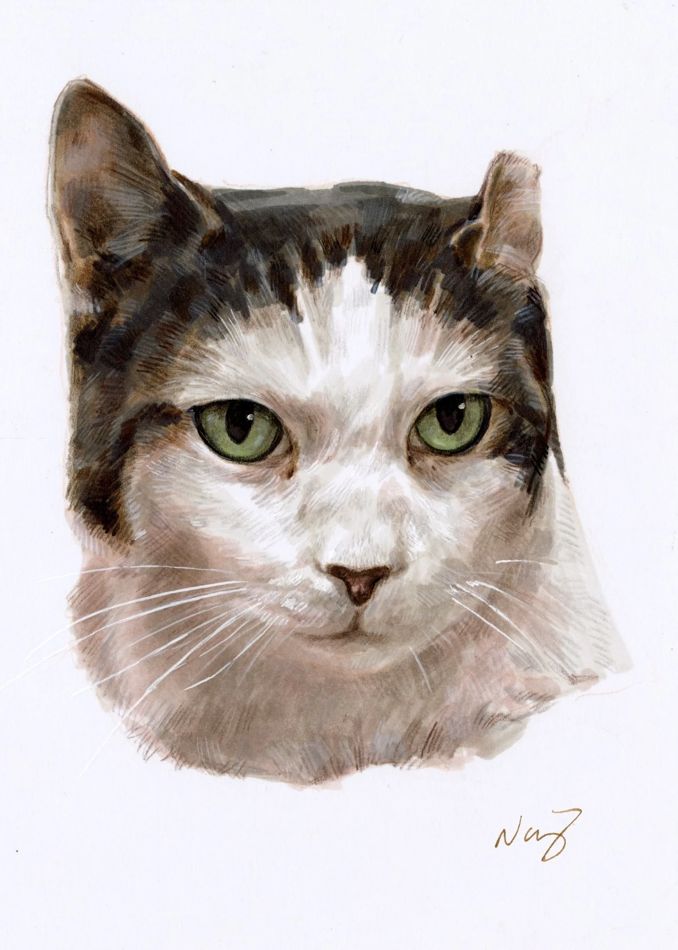 Junie, 2025