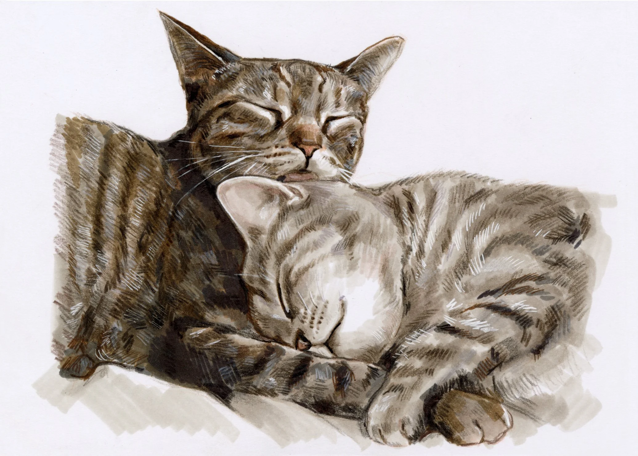 Millie and Babycat, 2025