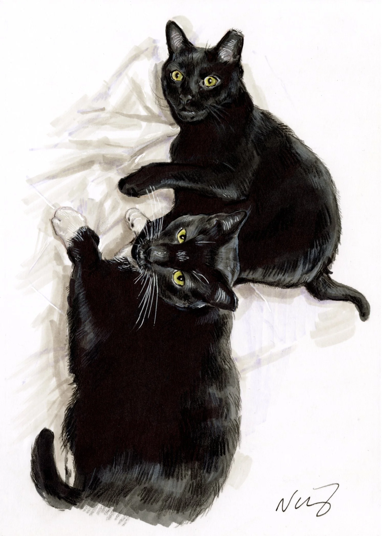 blackcatbrotherssmall.jpg