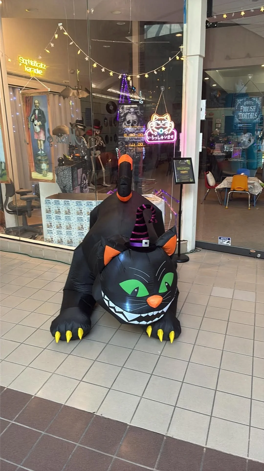 cat.jpg