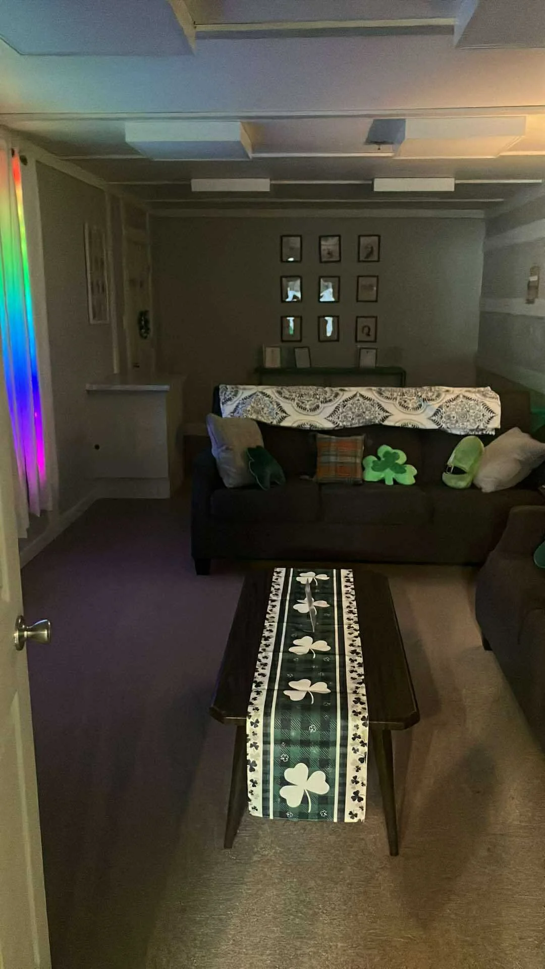 party room st patrick's day.jpg