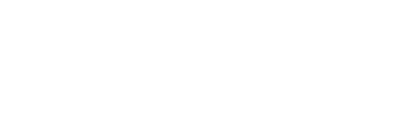 Pauwels Flying Scholarship