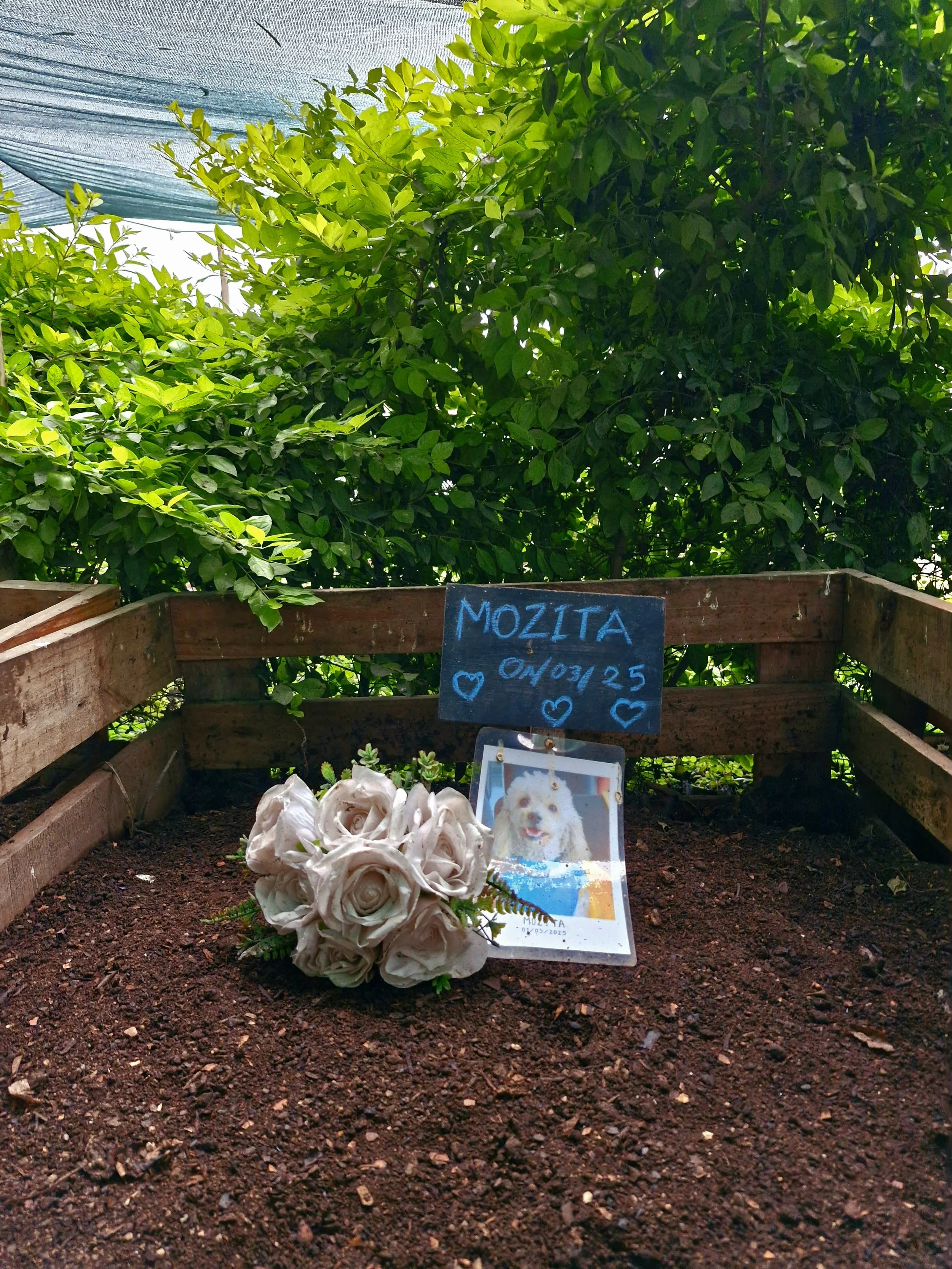 WhatsApp Image 2025-06-02 at 5.40.41 PM (1).jpeg