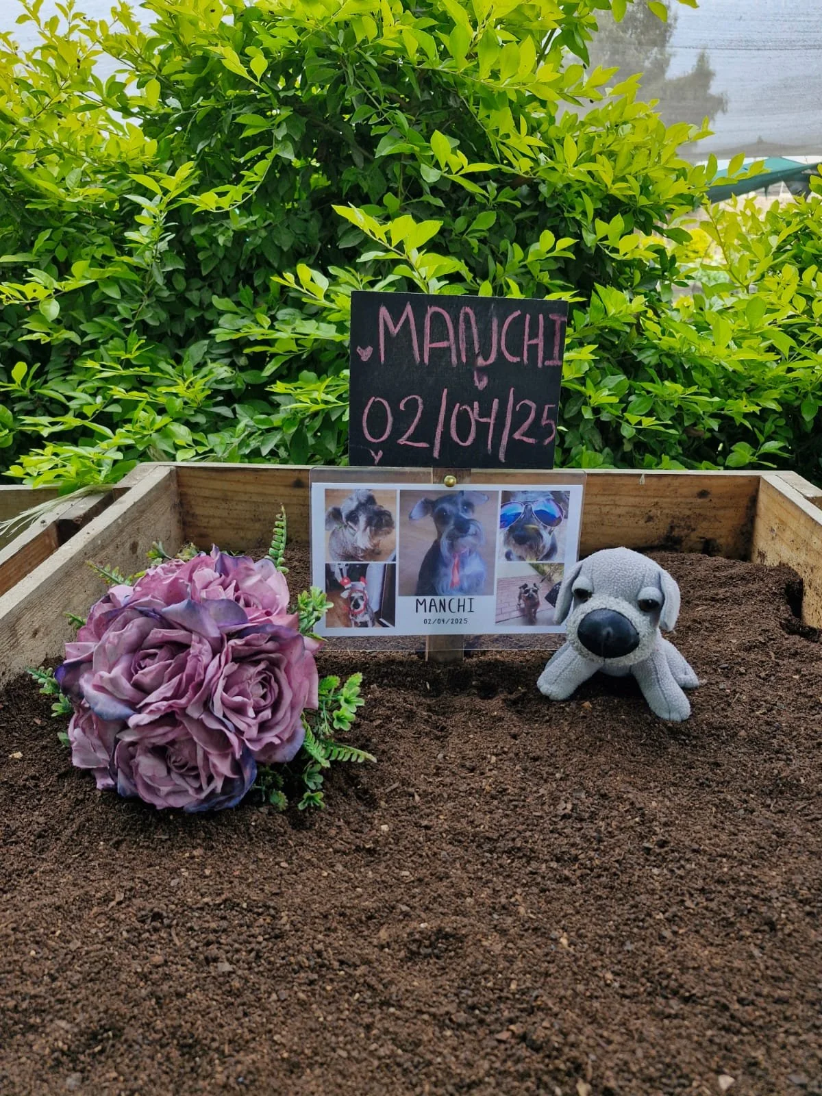 WhatsApp Image 2025-06-09 at 3.05.52 PM.jpeg