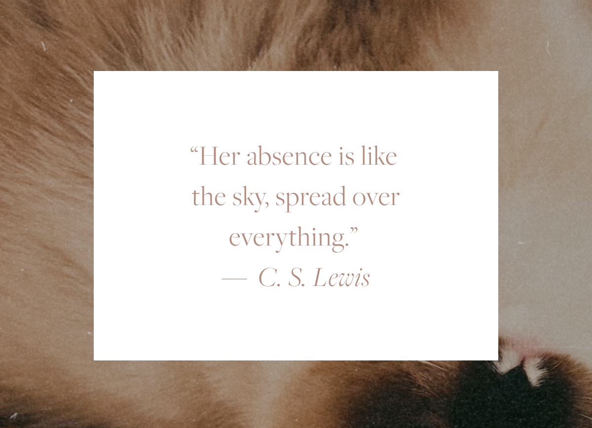 Quote reading “Her absence is like the sky, spread over everything.” by C. S. Lewis, displayed in soft serif text on a white background over a warm, softly textured backdrop.
