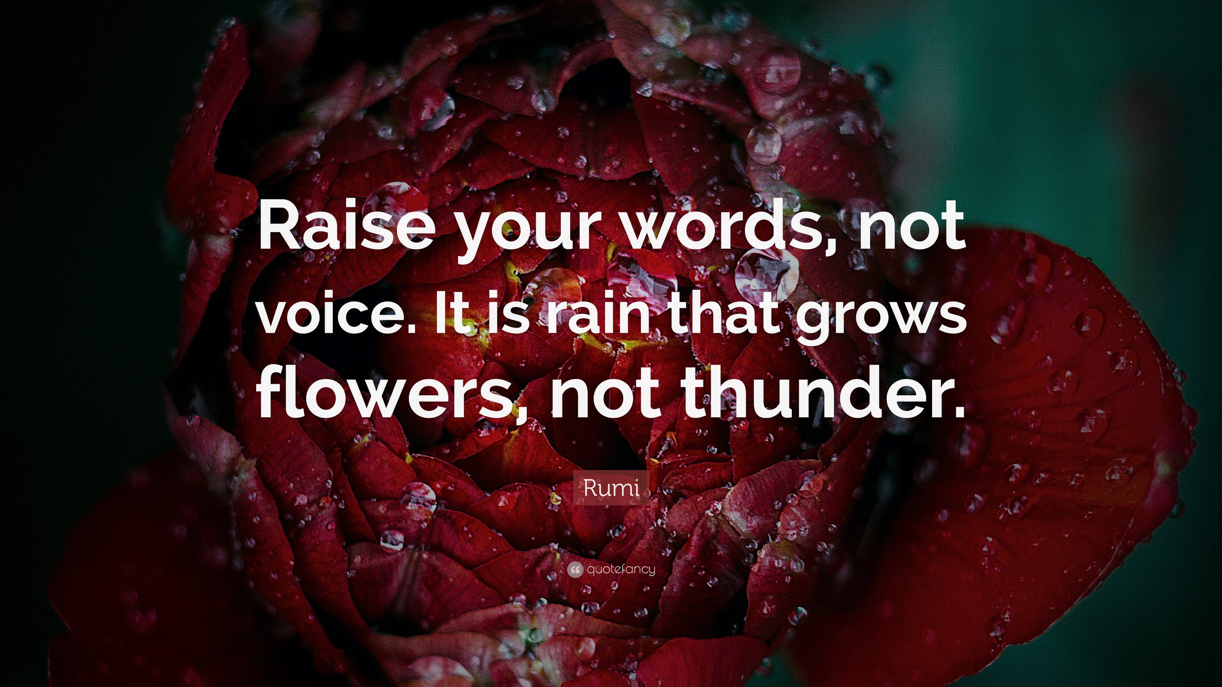 Non-Violent Communication