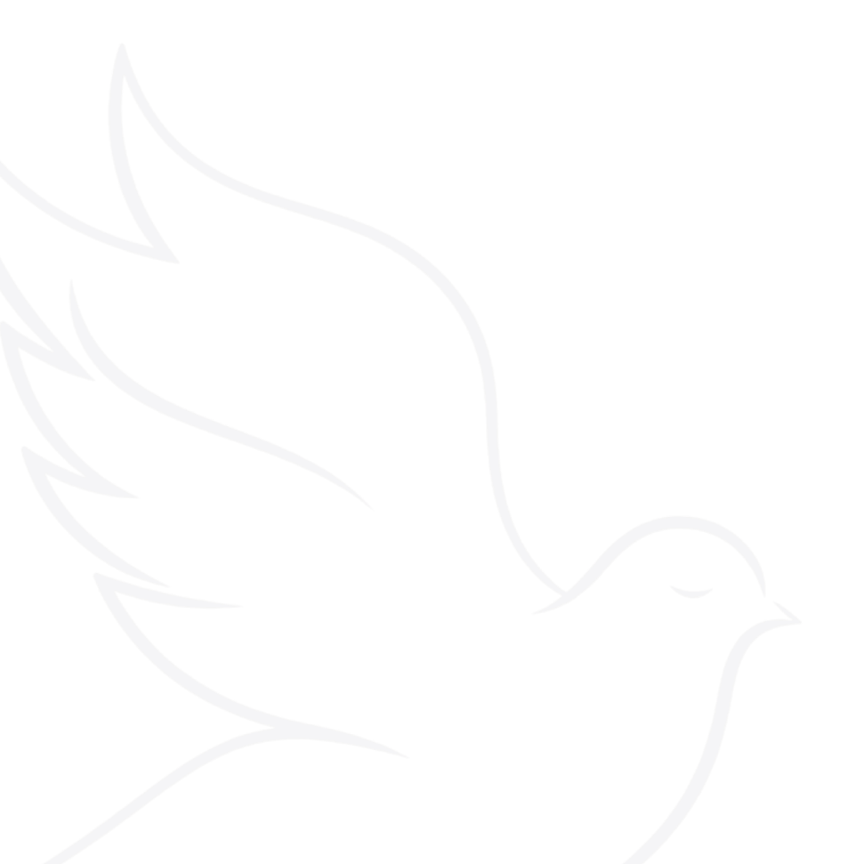 Outline of a dove with wings spread, symbolizing peace.