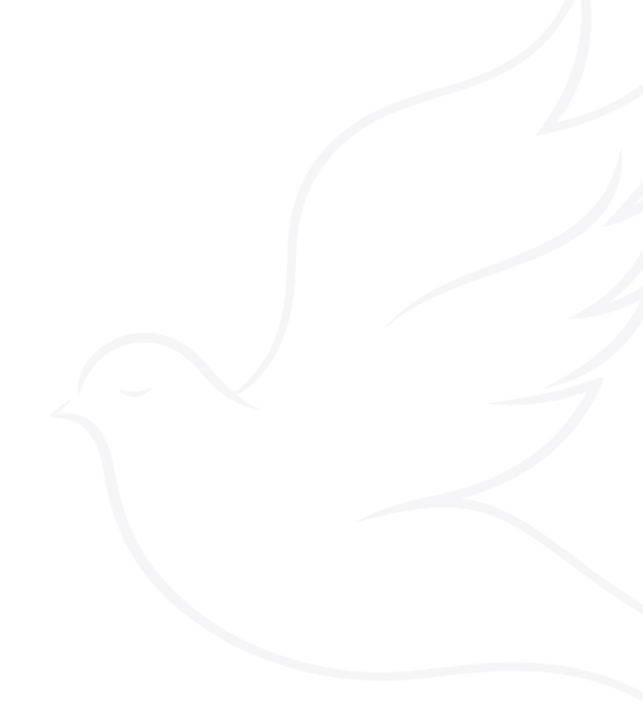 Outline drawing of a dove in flight with wings spread upward.