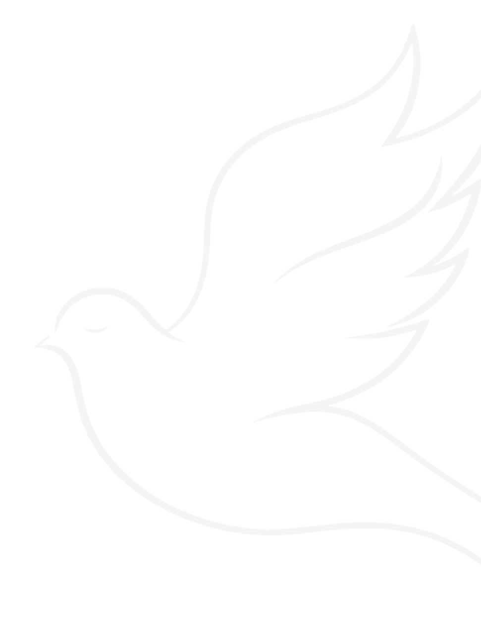 Outline drawing of a dove with wings spread upward.