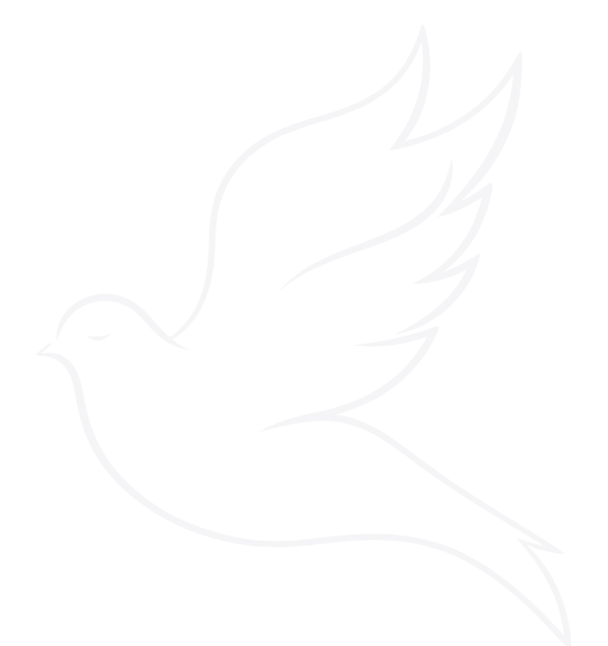 Outline drawing of a dove, symbolizing peace, with wings outstretched and tail feathers flowing.