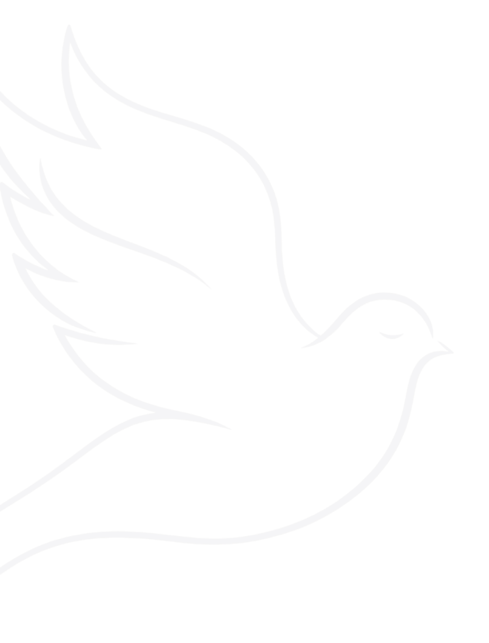 Outline of a dove with a branch in its beak, representing peace and hope.