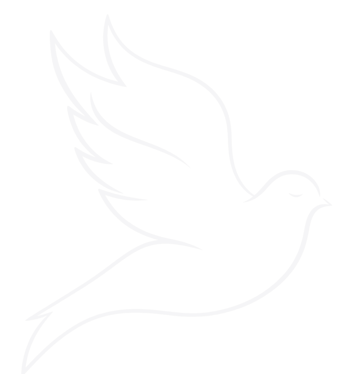 Outline of a dove holding an olive branch, symbolizing peace.