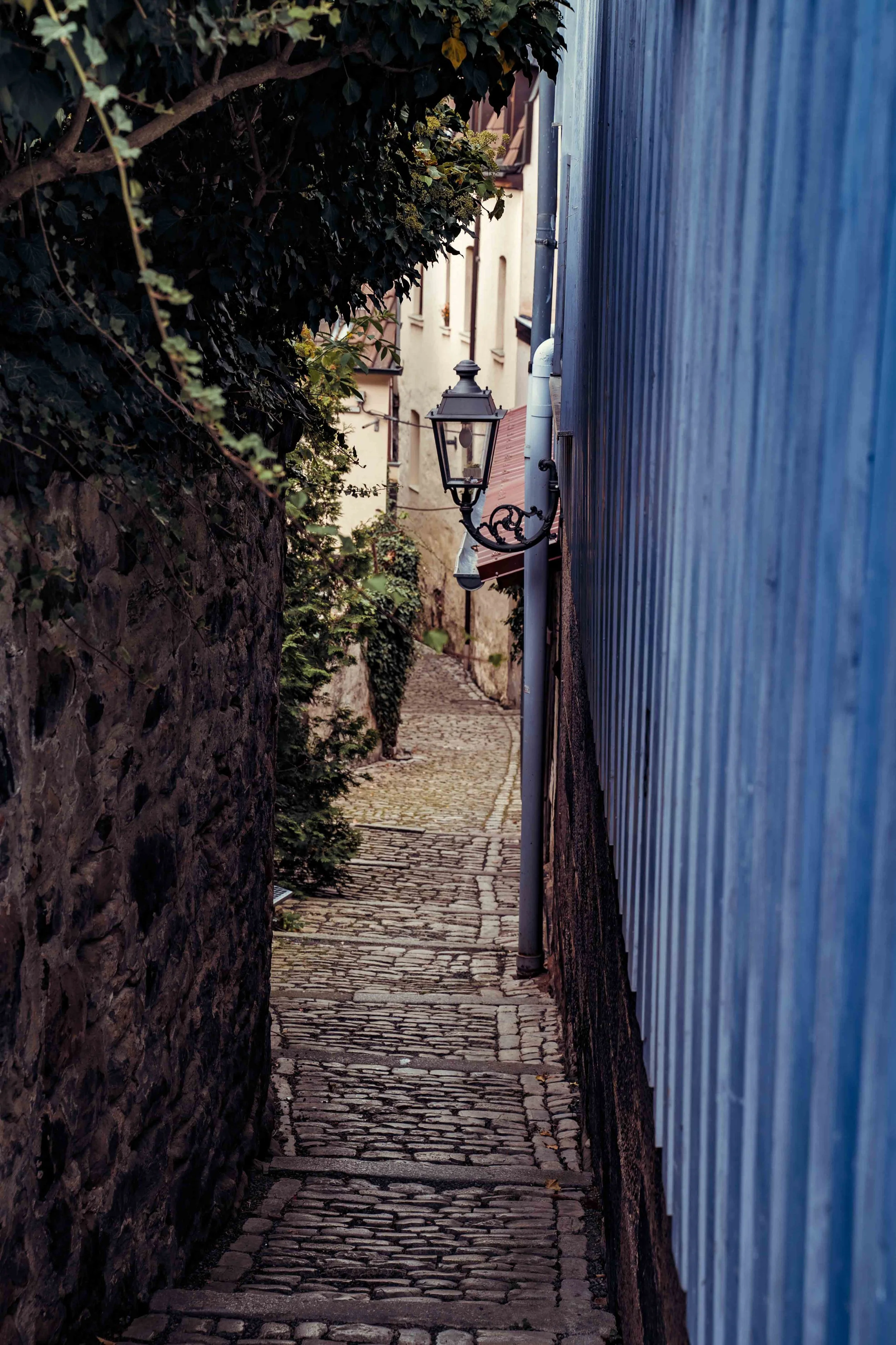 Cobblestone Pathway with Lantern Therapy for Anxiety