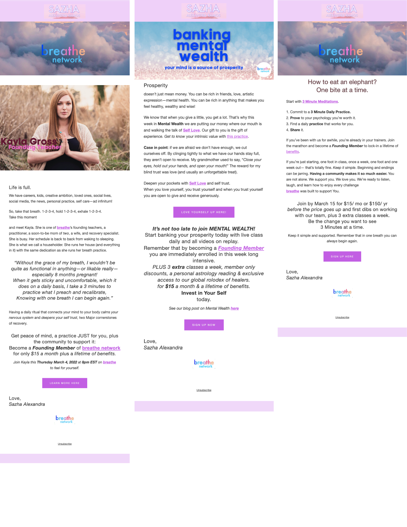 Email Campaigns & Metics (1).png