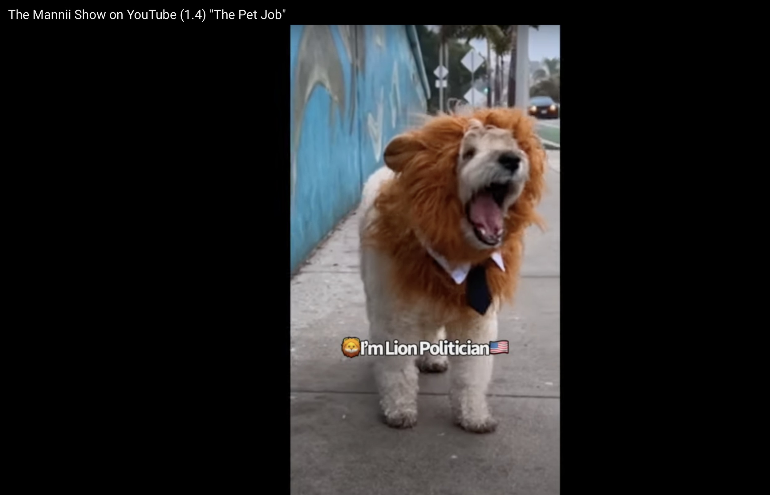 (1.4) Jessii's Lion Politician costume