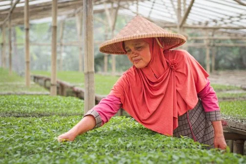 Credible Before Visible: Rethinking Financial Inclusion for Women-Led Businesses