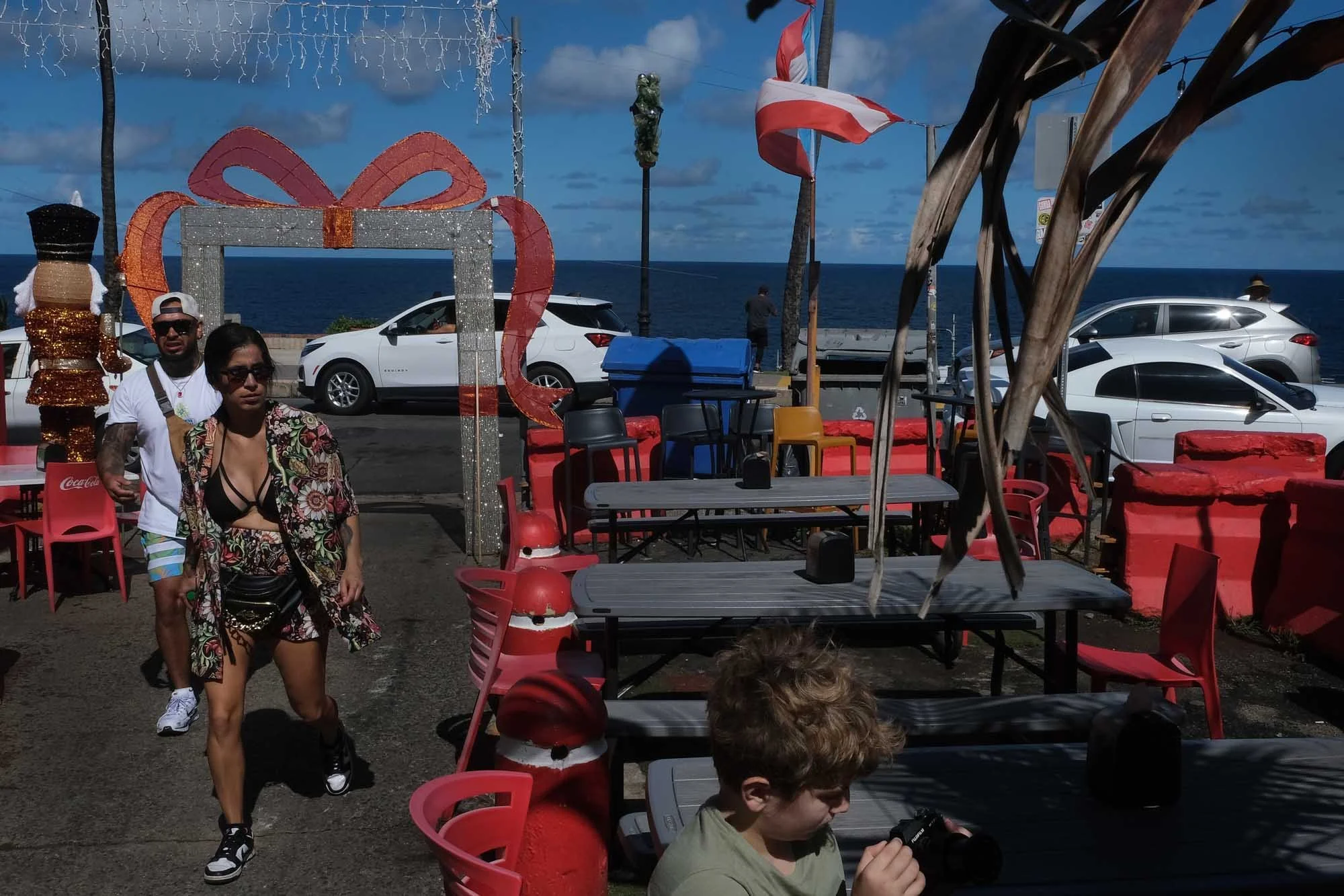 The Joy of living00005.jpg