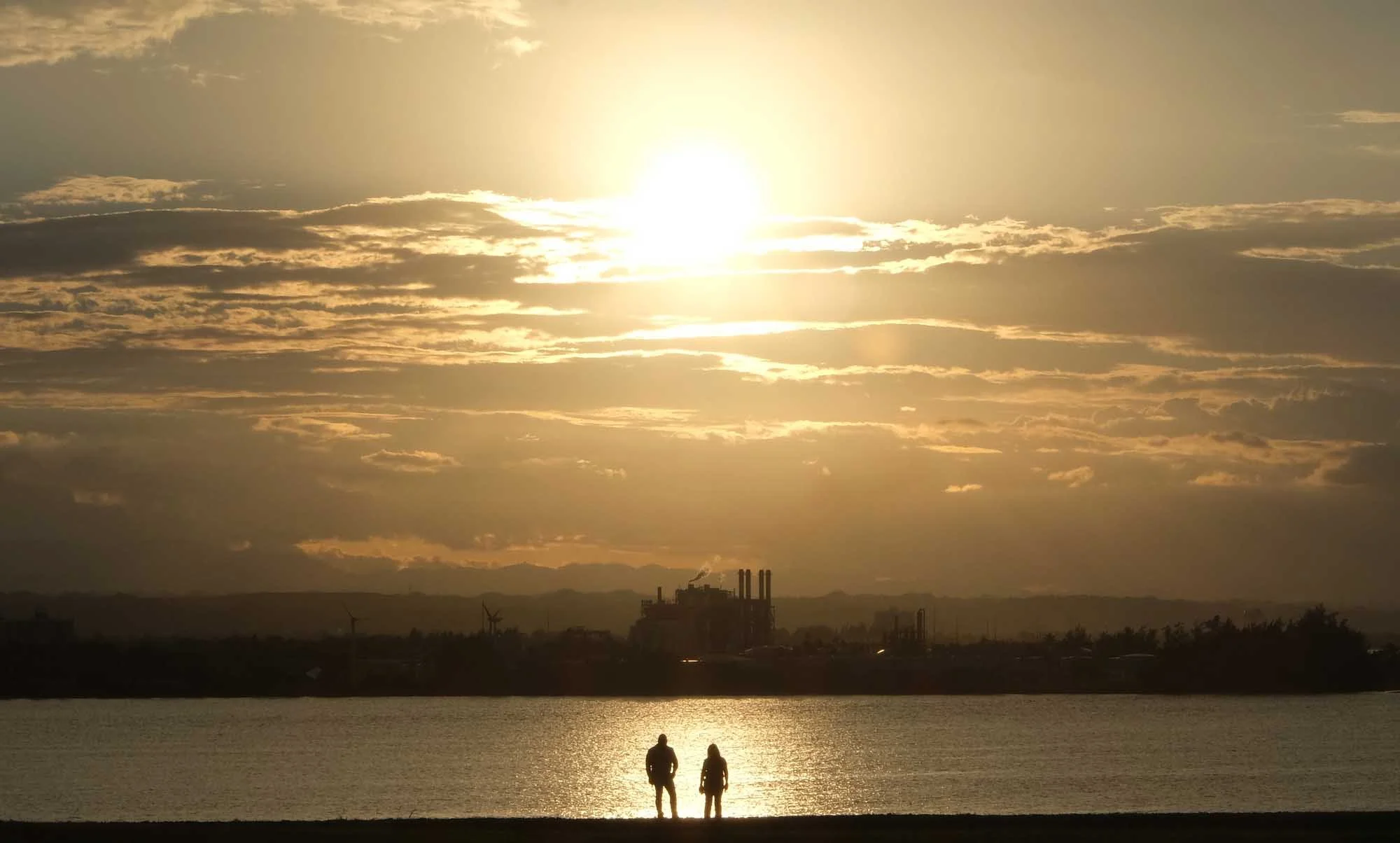 The Joy of living00412-1_1.jpg