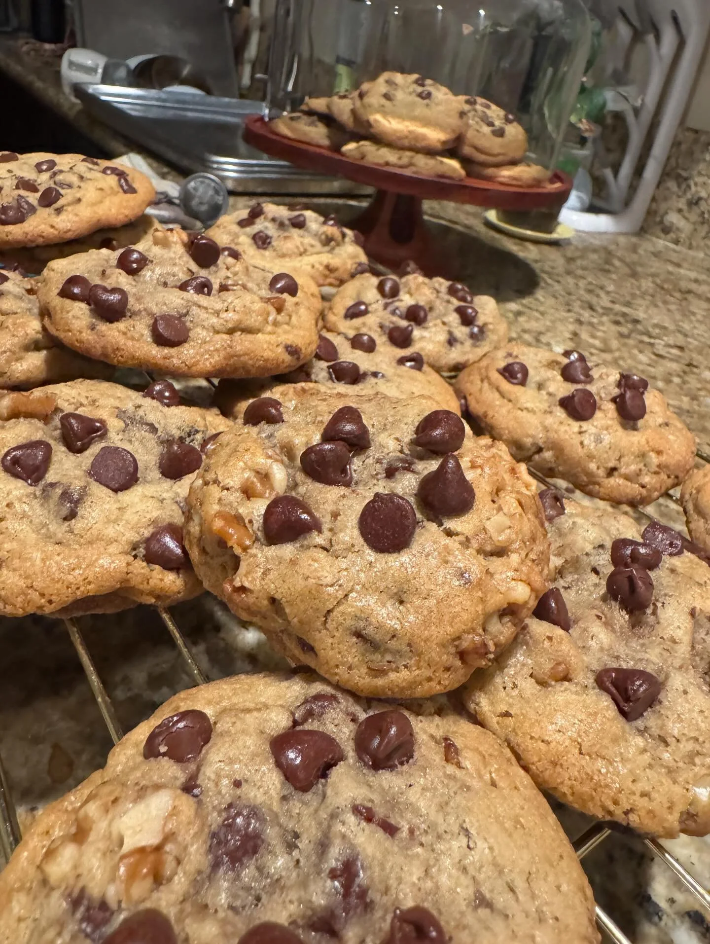 Winter Faire Vendor Spotlight! Welcome first time vendor Aeises Breceda of The Blessed Batch. She is bringing cookies and other baked goods. 

Follow @the_blessedbatch

Sparrow Academy Winter Faire
5150 Wilson Street
La Mesa, CA 91942

Saturday, Dece