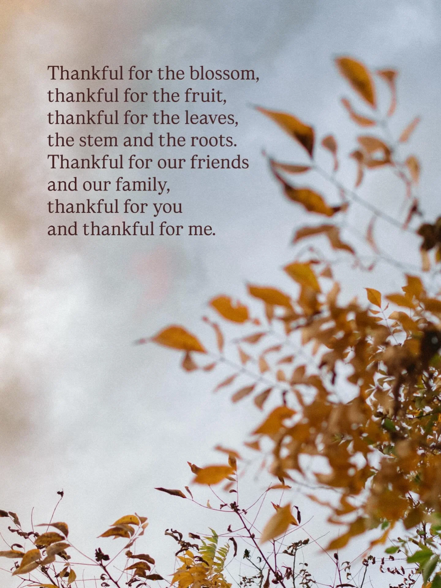 We are deeply grateful for each and every one of you &mdash; our families/friends/students/staff (past and present!), who form this beautiful Sparrow community. Thank you for every big and small way you share your generosity, creativity, and connecti