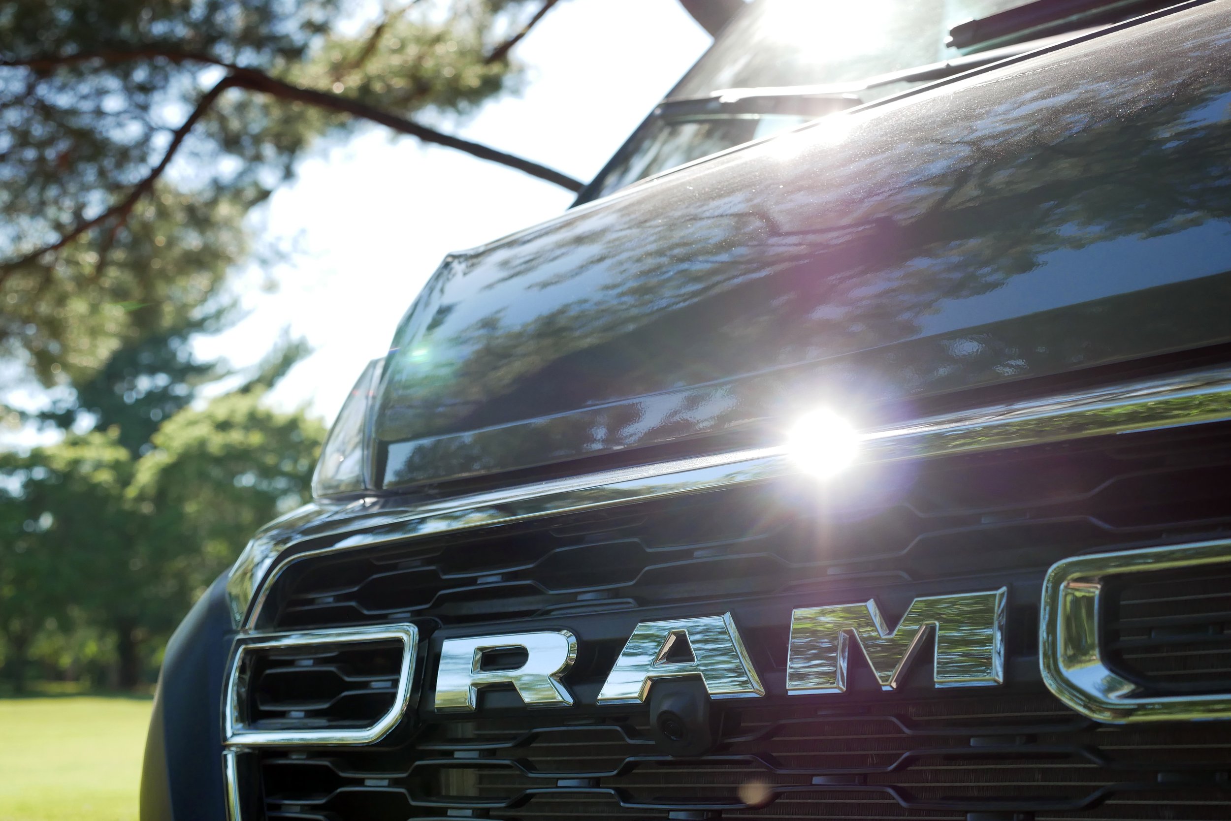 Exterior badge detail on 'Bjorn' Ram ProMaster van conversion — chrome RAM lettering on the black honeycomb front grille, dramatic sun flare catching the badge, green tree canopy and bright sky in the background.