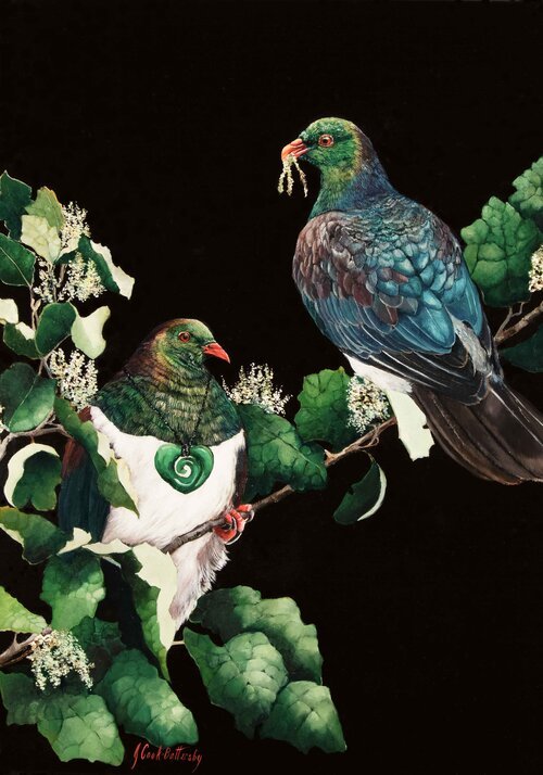 JCB-Kereru's_-Ponamu_Rangiora-700x500mm_.jpeg