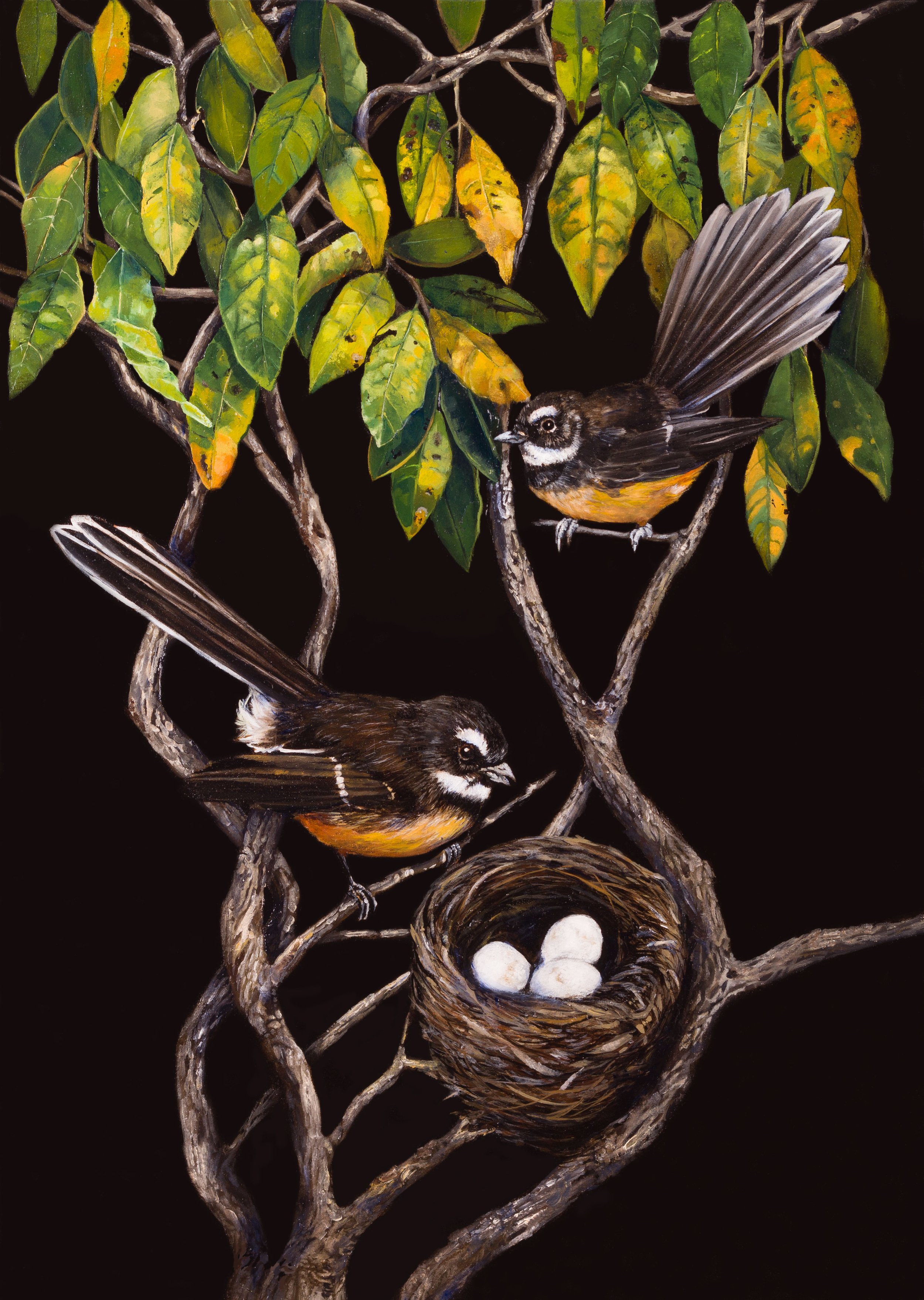 Piwakawaka_-Nest-Print-Image.jpg