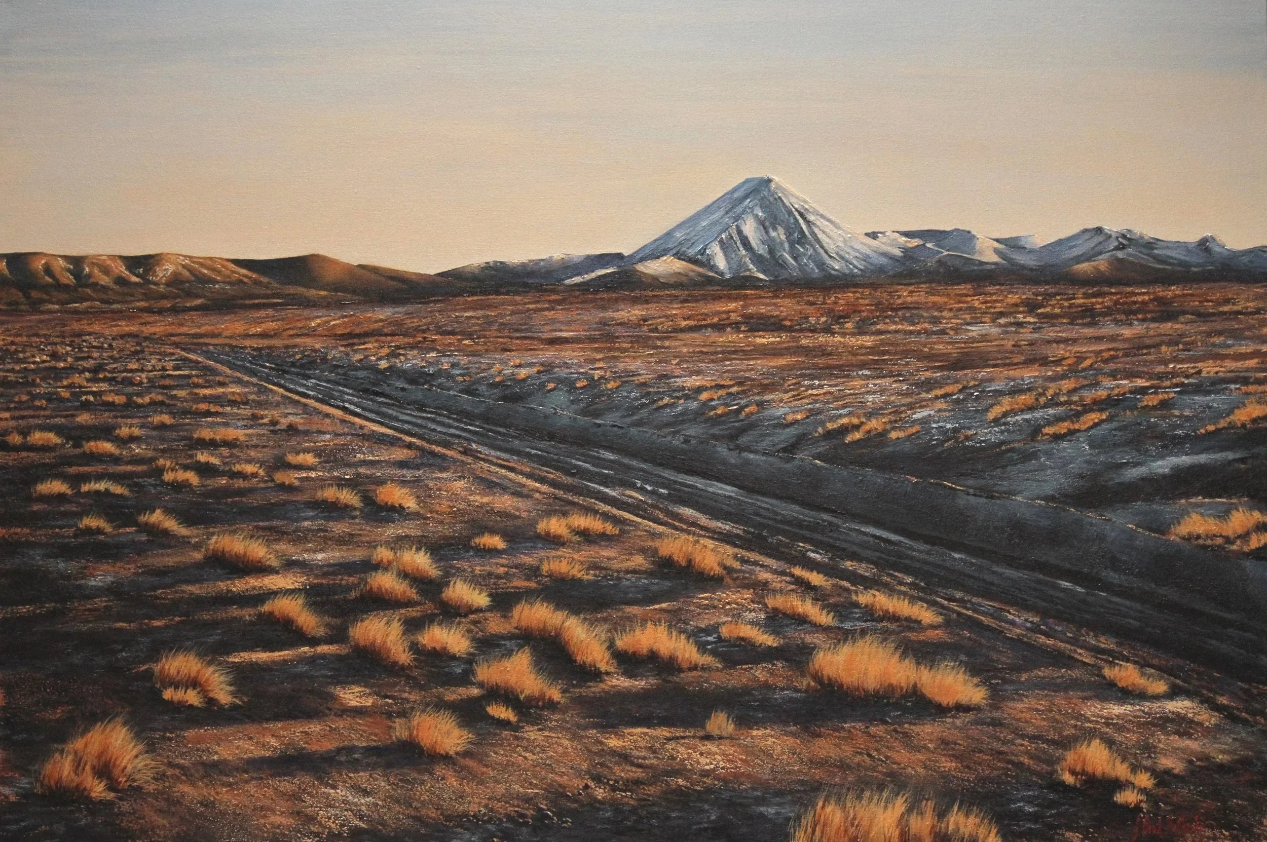 SOLD - NZ VOLCANIC LANDS , Tongariro National Park,North Island,NZ