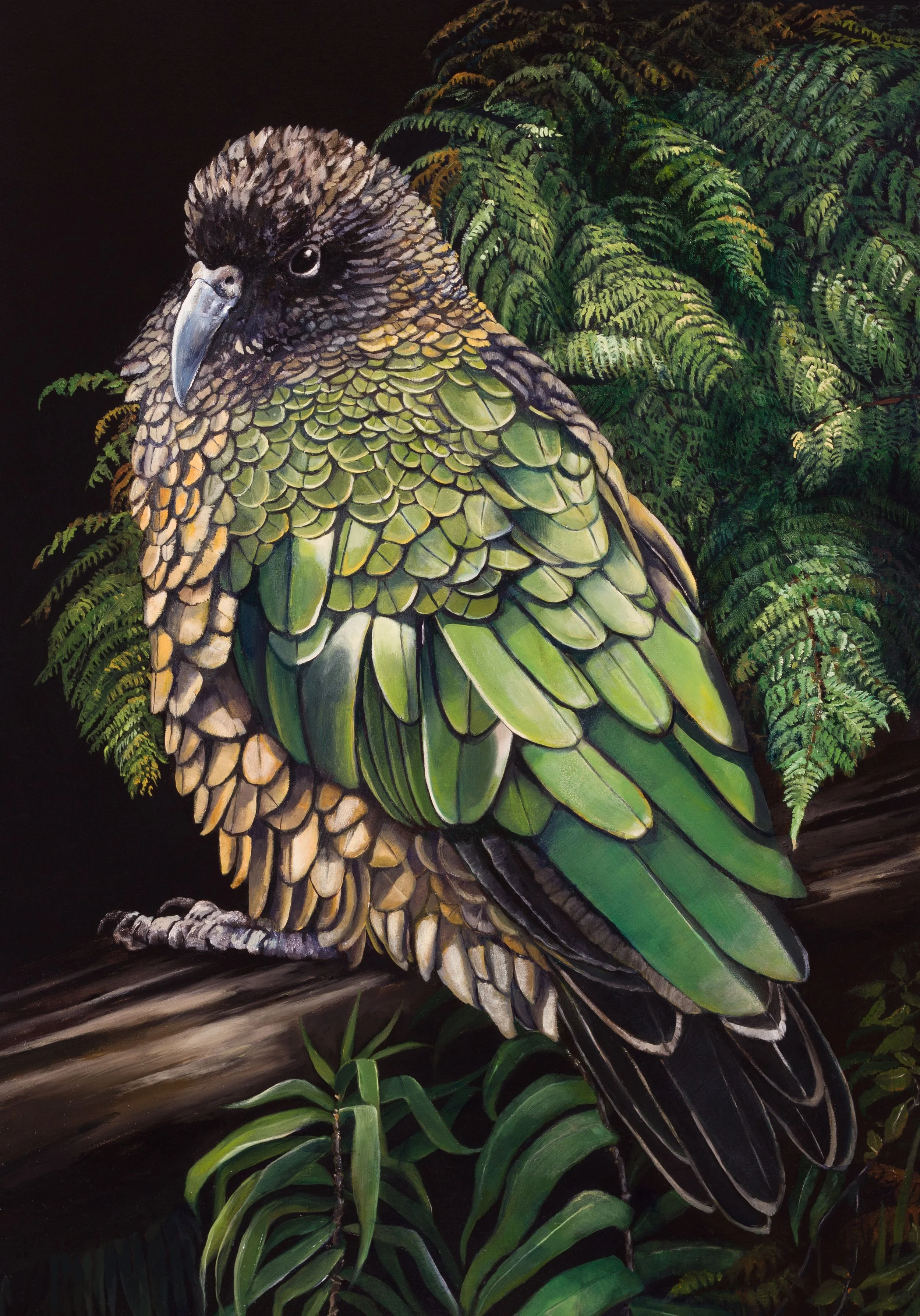 NZ Kea