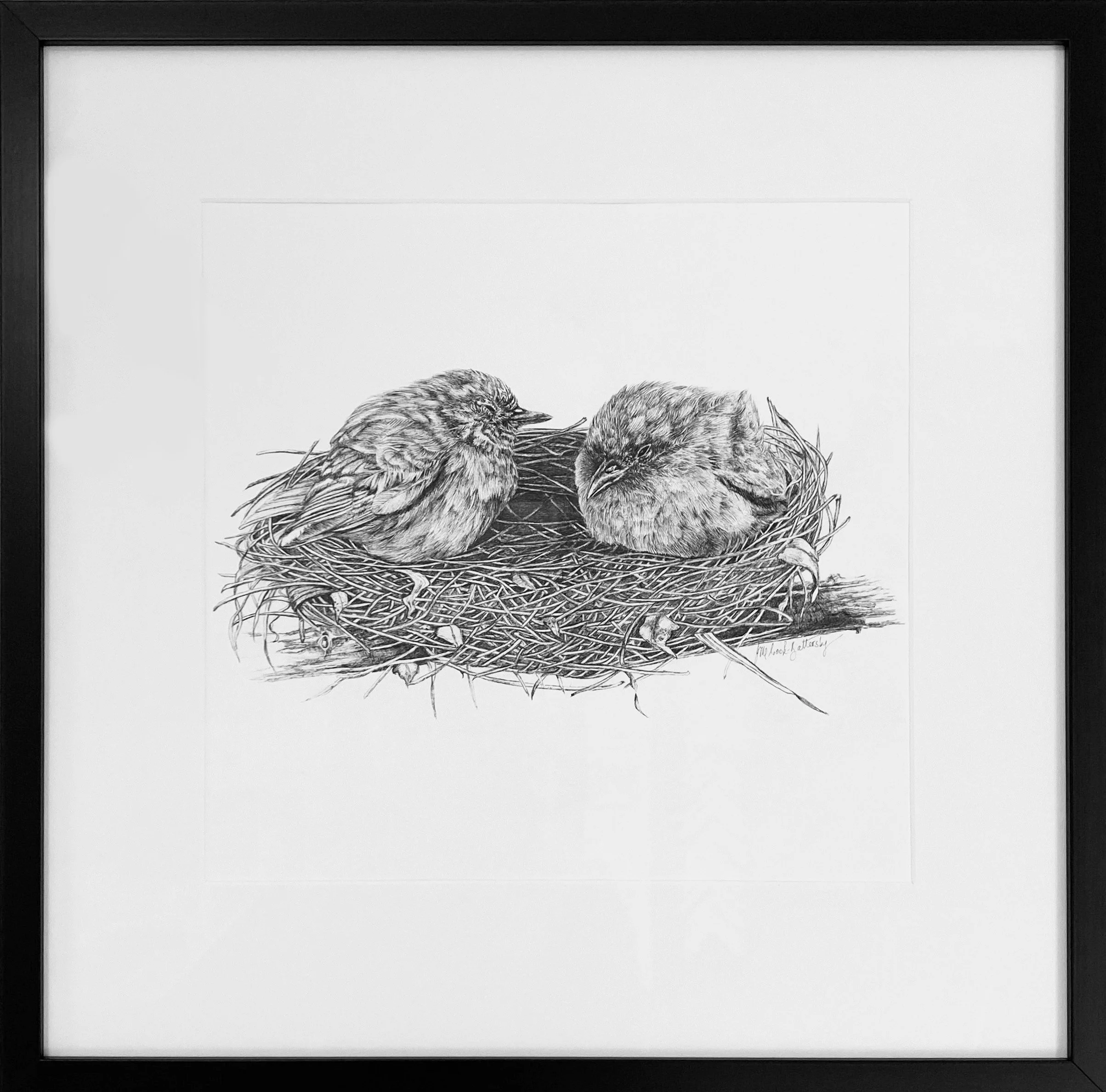 Ink-Scapes Of Innocence: Nestling In Harmony