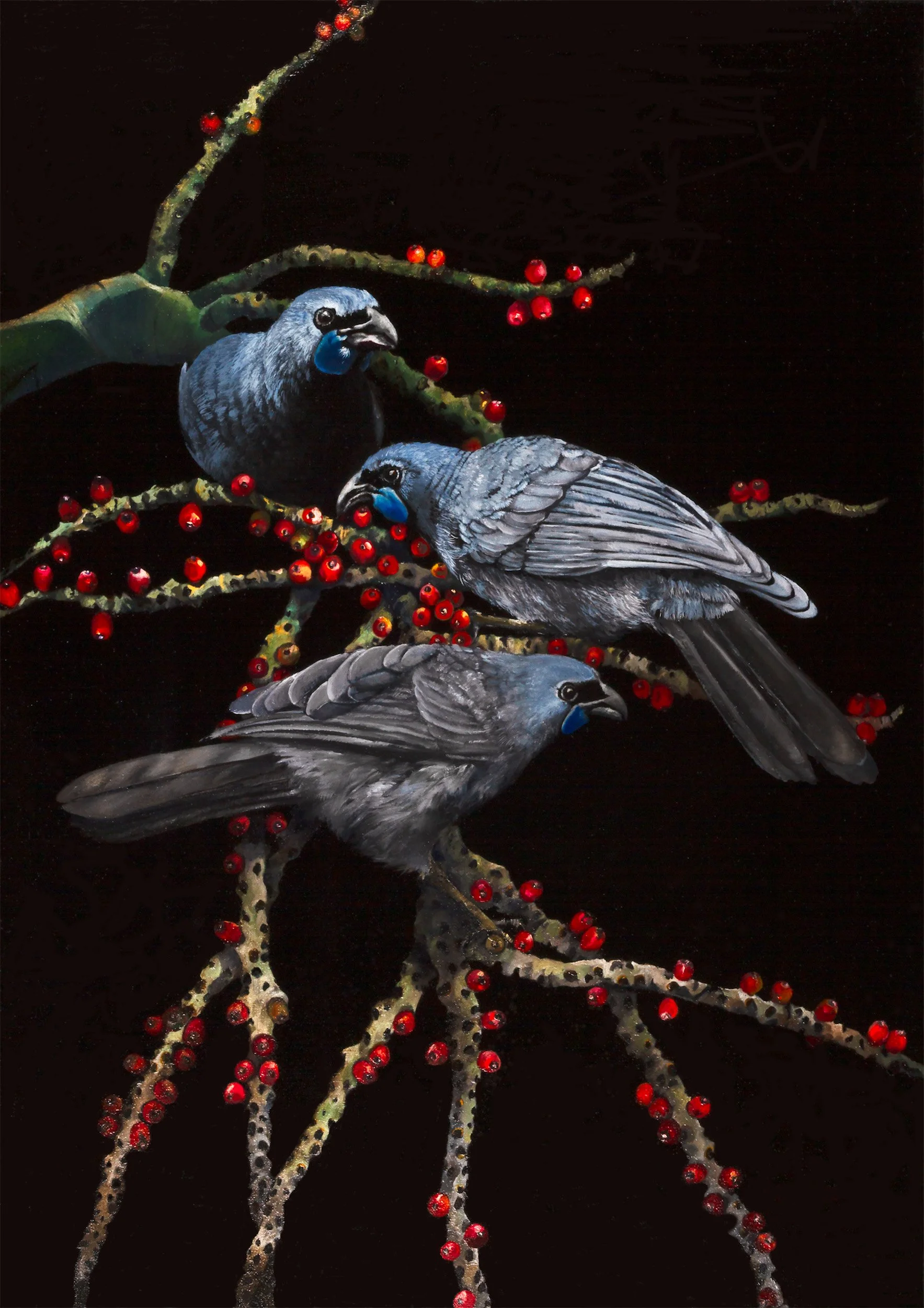 Berry Song: Kōkako's Haven