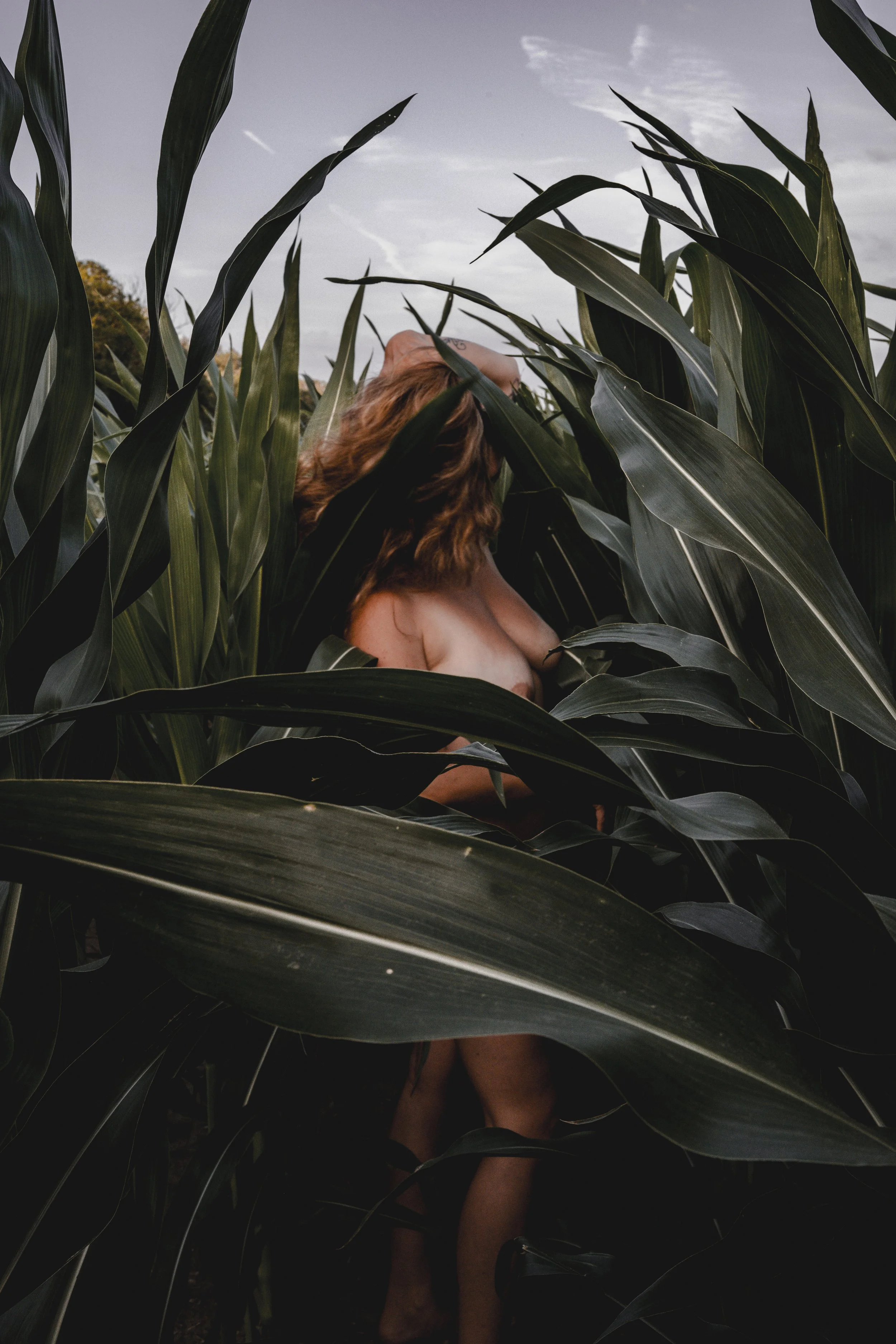 Lately… I’ve been asking one question a lot… why. WHY THis photograph, why this subject, why this platform. why.