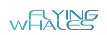 Flying whales.JPG