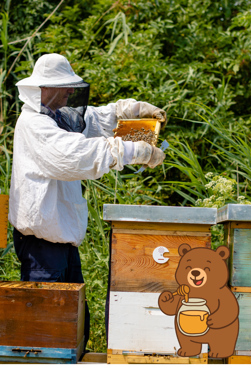 Raw honey