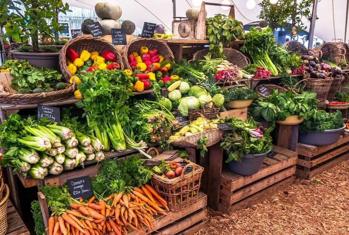 Seasonal Produce in South Carolina