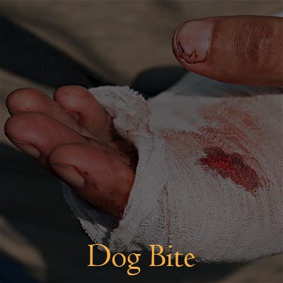 Dog-Bite.jpg