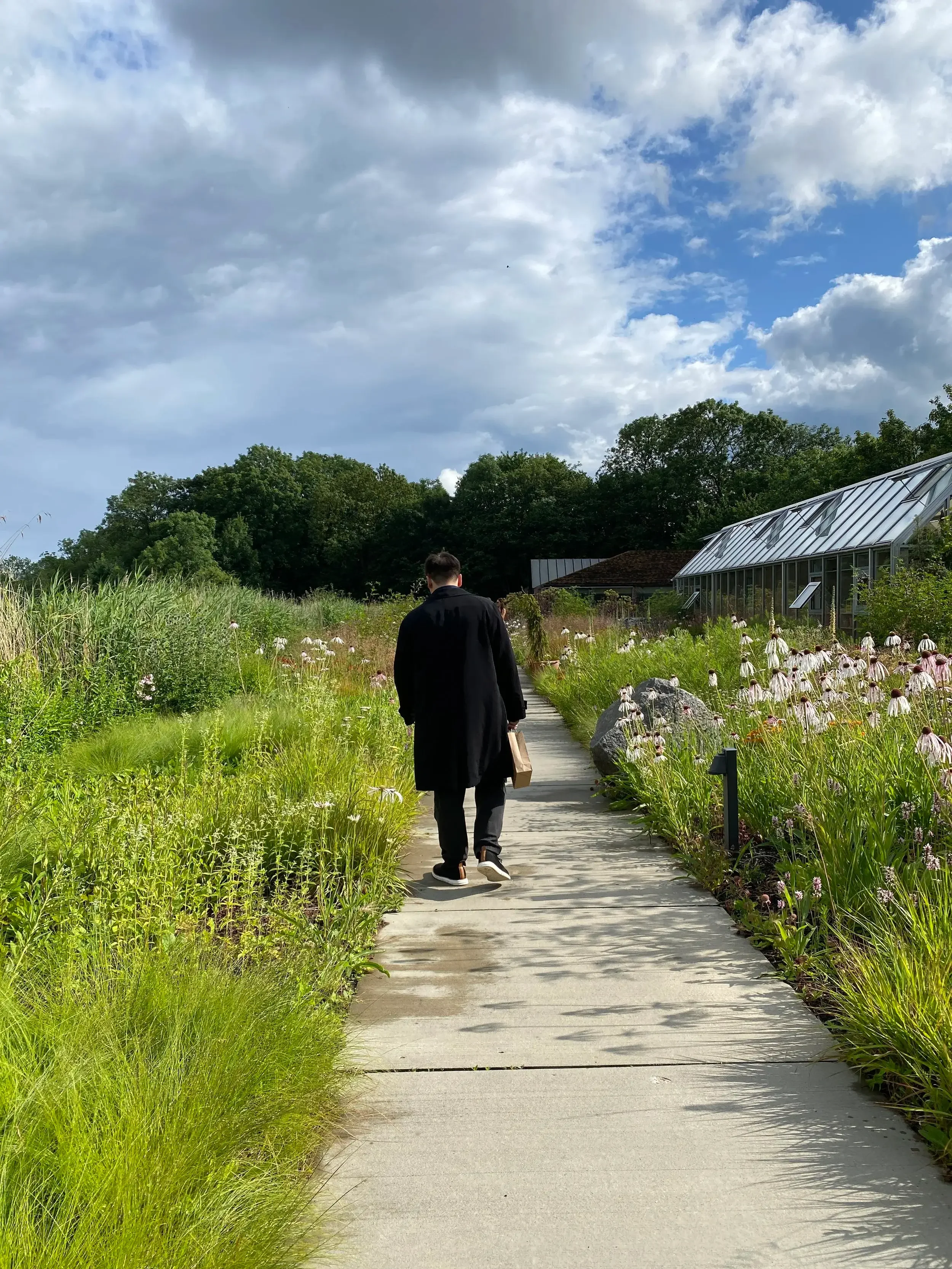 A man strolls along a garden path, surrounded by lush greenery and blooming flowers.