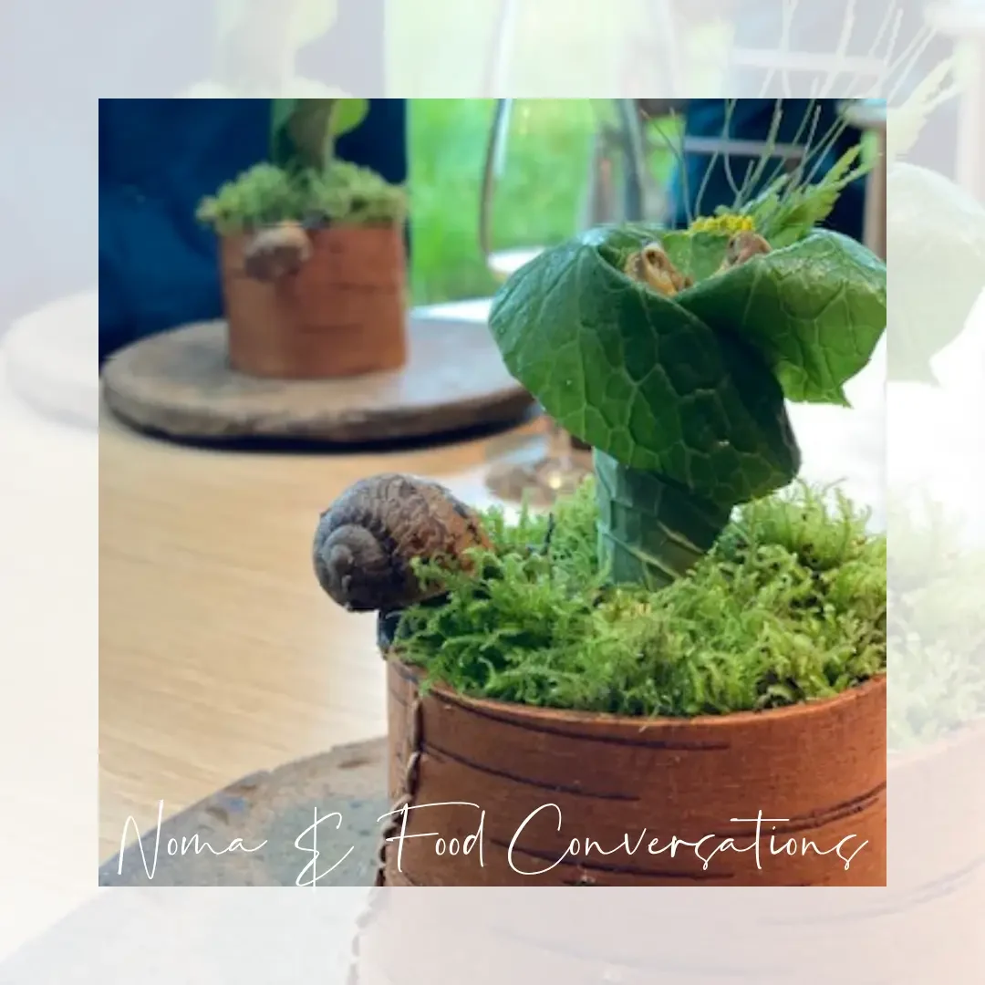 A small green plant in a wooden pot, surrounded by soft green moss, showcasing a natural and earthy aesthetic.