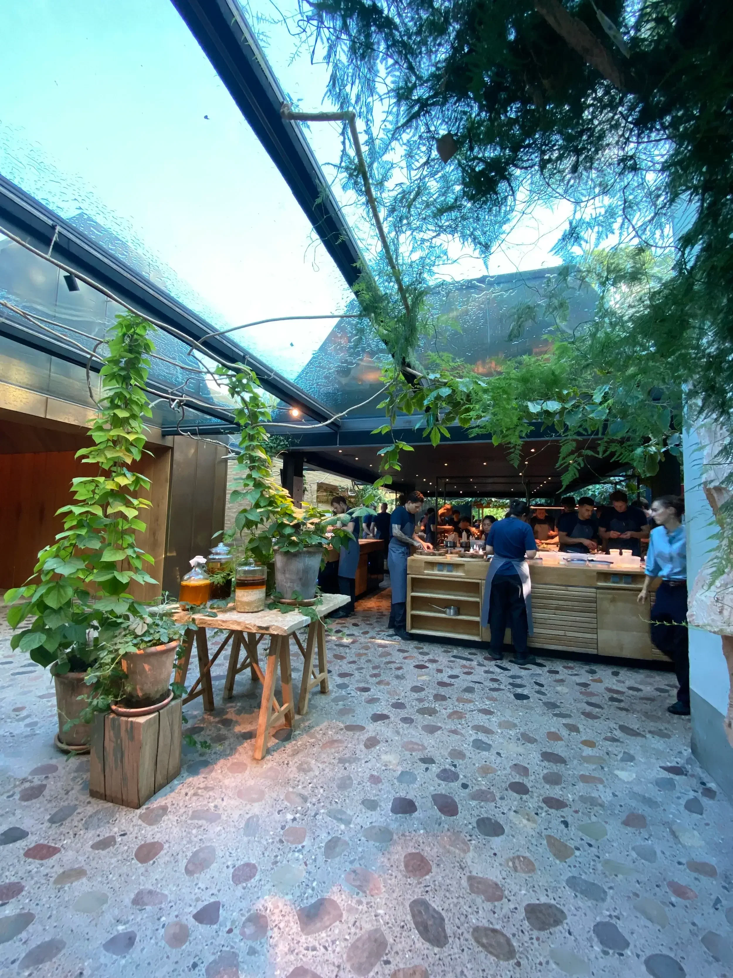 A cozy restaurant interior featuring various potted plants arranged in the center, enhancing the ambiance with greenery.