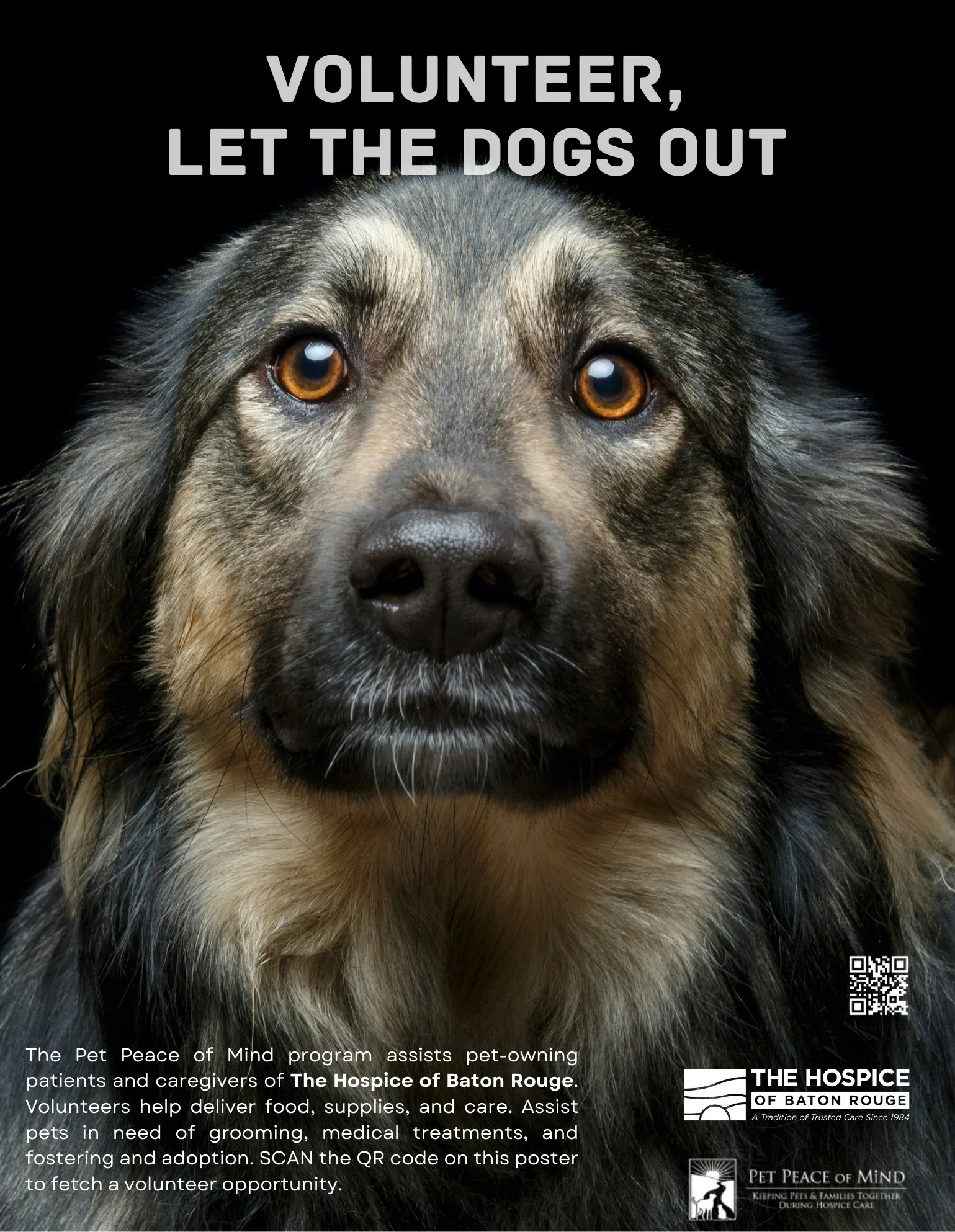 Hospice Pet Peace of Mind Graphic Design Advertising Campaign.jpg 3.jpg
