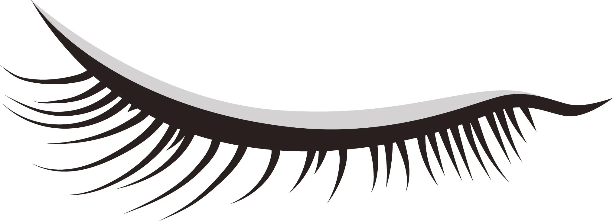 A black and gray illustrated closed eyelash with detailed individual lashes