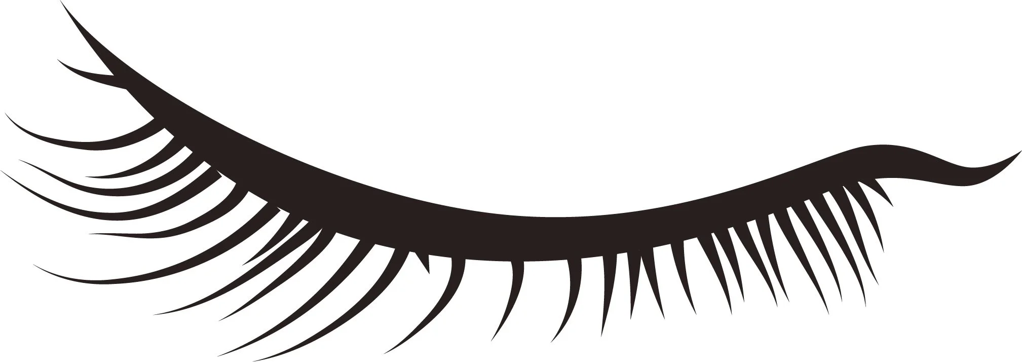 Black illustrated eyelash with a curved shape and thin individual lash details on a white background.