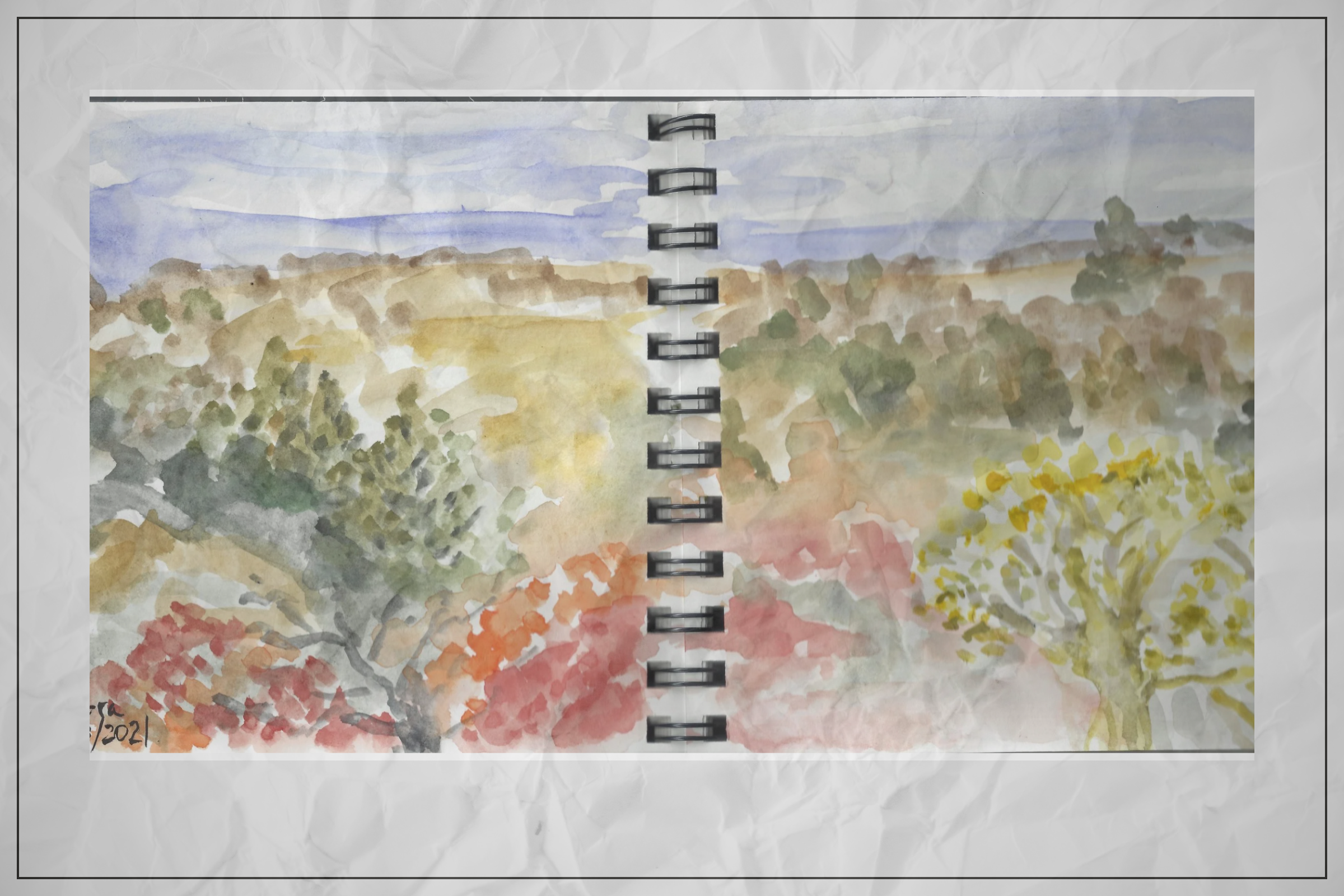 Website header with green banner featuring black line drawings of goats and the text "The Art of Debora Young." Below, a page titled "In the Studio" shows a watercolor painting of a landscape with blue sky, trees, and fields.